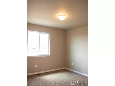 4477 Waltham Dr, Windsor, CO 80550 photo 25