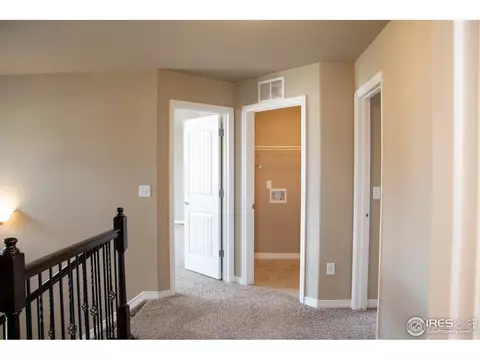 4477 Waltham Dr, Windsor, CO 80550 photo 13