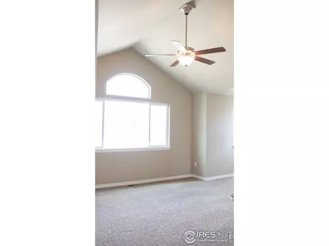 4477 Waltham Dr, Windsor, CO 80550 photo 15