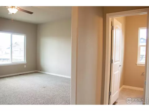 4477 Waltham Dr, Windsor, CO 80550 photo 10