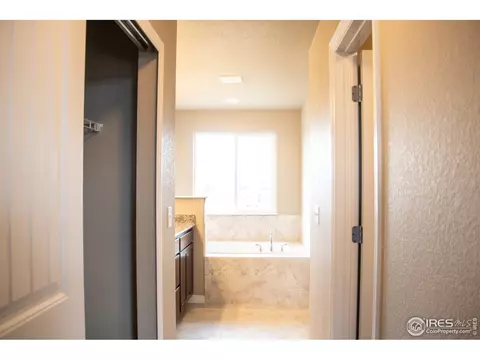 4477 Waltham Dr, Windsor, CO 80550 photo 36