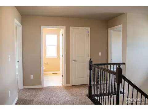 4477 Waltham Dr, Windsor, CO 80550 photo 17