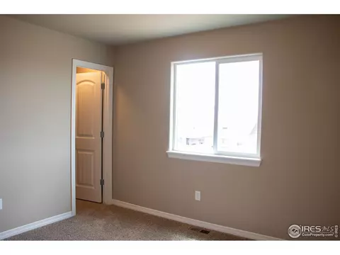 4477 Waltham Dr, Windsor, CO 80550 photo 23