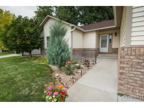 1216 Walnut St, Windsor, CO 80550 photo 3