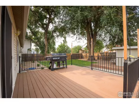 1216 Walnut St, Windsor, CO 80550 photo 27