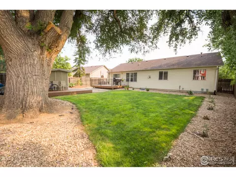 1216 Walnut St, Windsor, CO 80550 photo 32