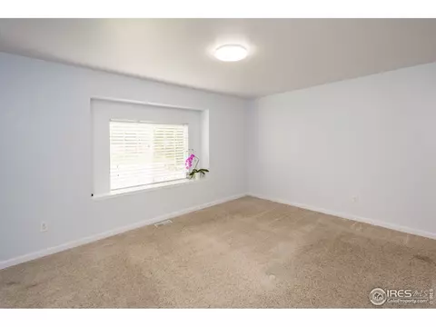 1216 Walnut St, Windsor, CO 80550 photo 10