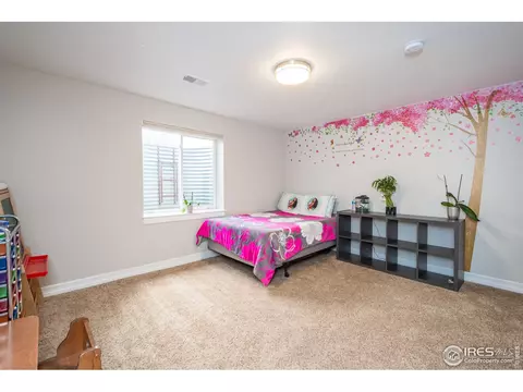1216 Walnut St, Windsor, CO 80550 photo 18