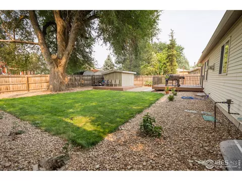 1216 Walnut St, Windsor, CO 80550 photo 31