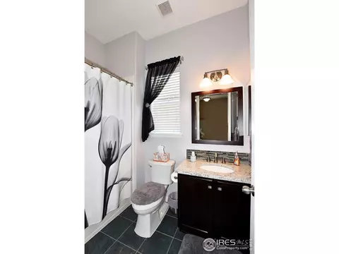 2018 Vineyard Dr, Windsor, CO 80550 photo 13
