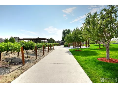 2018 Vineyard Dr, Windsor, CO 80550 photo 27