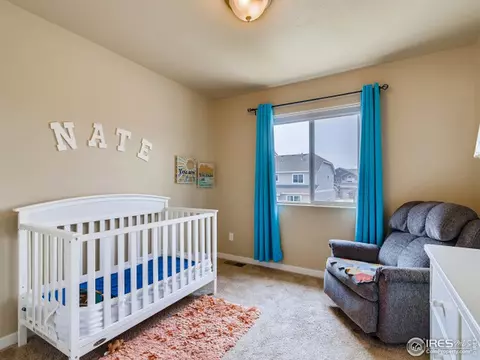 5624 Clarence Dr, Windsor, CO 80550 photo 20