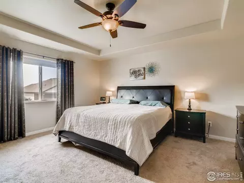 5624 Clarence Dr, Windsor, CO 80550 photo 14