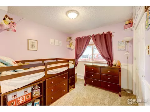 18 Oak St, Windsor, CO 80550 photo 17