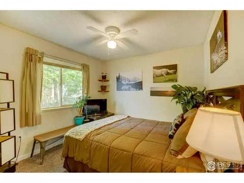 18 Oak St, Windsor, CO 80550 photo 14