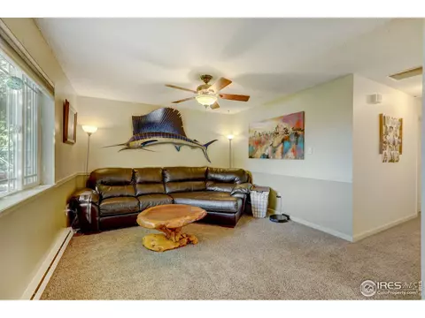 18 Oak St, Windsor, CO 80550 photo 6