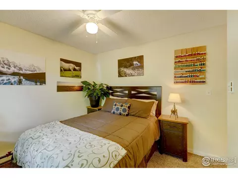 18 Oak St, Windsor, CO 80550 photo 19