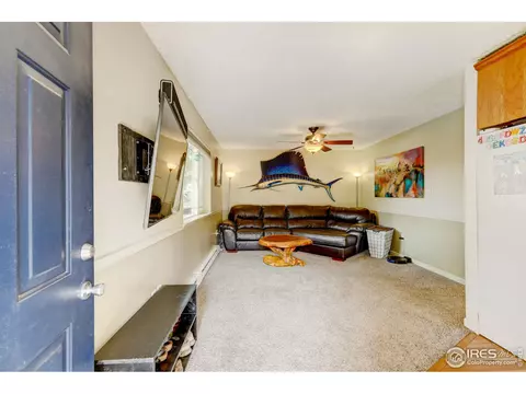 18 Oak St, Windsor, CO 80550 photo 5