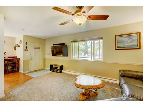 18 Oak St, Windsor, CO 80550 photo 12