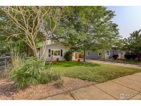 18 Oak St, Windsor, CO 80550 photo 4