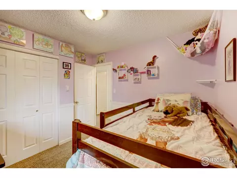 18 Oak St, Windsor, CO 80550 photo 13