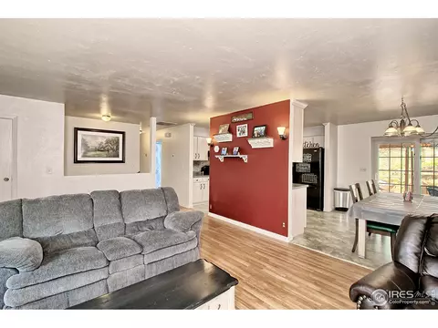 921 Squire Ct, Fruita, CO 81521 photo 11