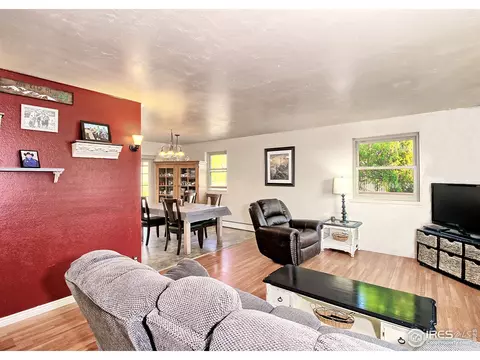 921 Squire Ct, Fruita, CO 81521 photo 10