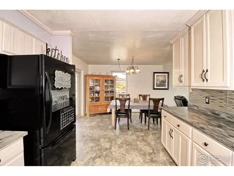 921 Squire Ct, Fruita, CO 81521 photo 13