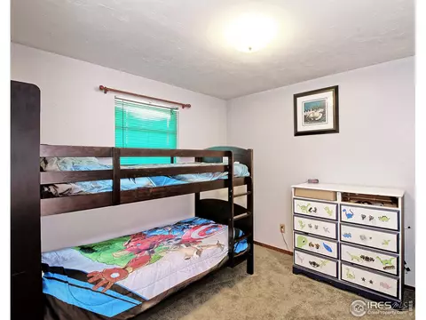 921 Squire Ct, Fruita, CO 81521 photo 16