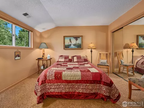 313 Chalet Dr, Black Hawk, CO 80422 photo 18