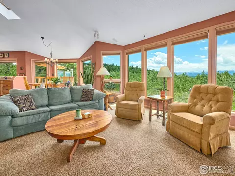 313 Chalet Dr, Black Hawk, CO 80422 photo 8
