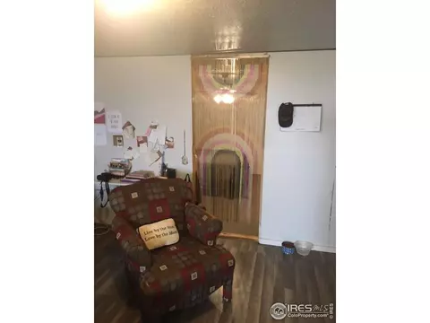 1460 N Johnson Rd, Rush, CO 80833 photo 21