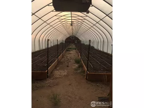 1460 N Johnson Rd, Rush, CO 80833 photo 11