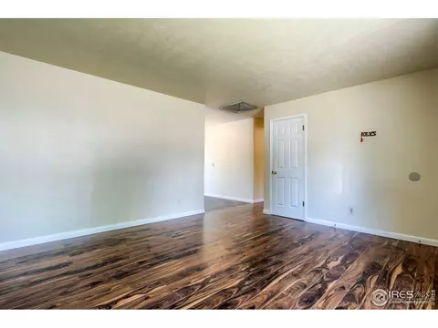 325 1st St, Windsor, CO 80550 photo 5