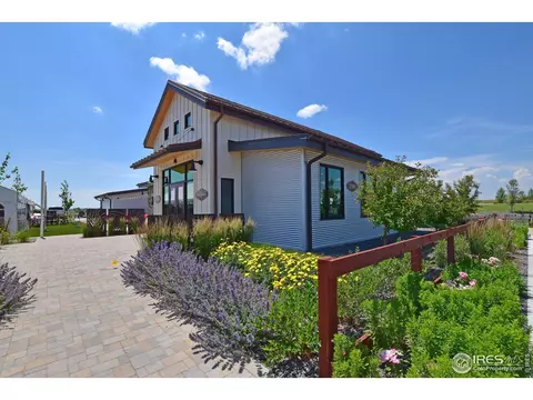 1504 Flowering Tree Ct, Windsor, CO 80550 photo 6