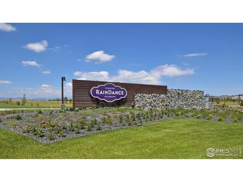 1504 Flowering Tree Ct, Windsor, CO 80550 photo 1