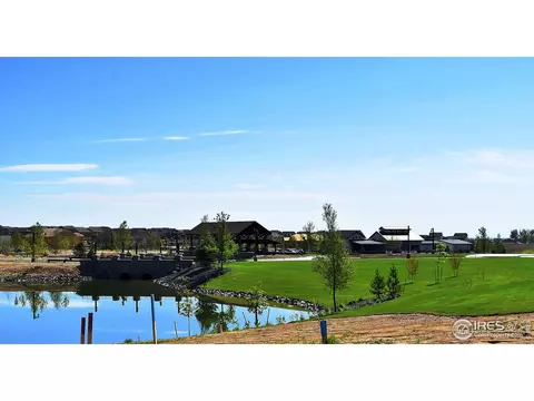 1504 Flowering Tree Ct, Windsor, CO 80550 photo 11