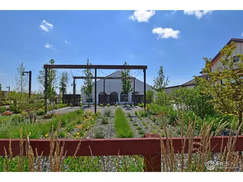 1504 Flowering Tree Ct, Windsor, CO 80550 photo 5