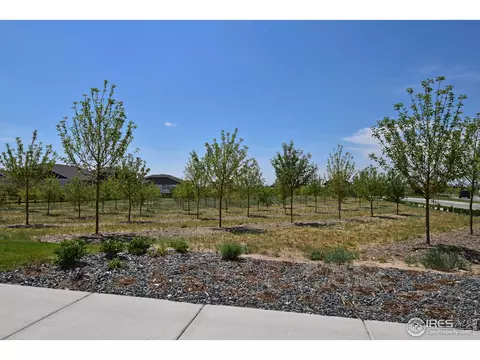 1504 Flowering Tree Ct, Windsor, CO 80550 photo 13