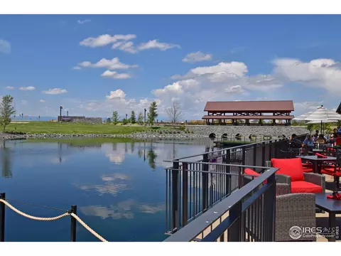 1504 Flowering Tree Ct, Windsor, CO 80550 photo 3