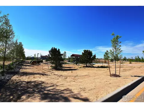 1504 Flowering Tree Ct, Windsor, CO 80550 photo 17