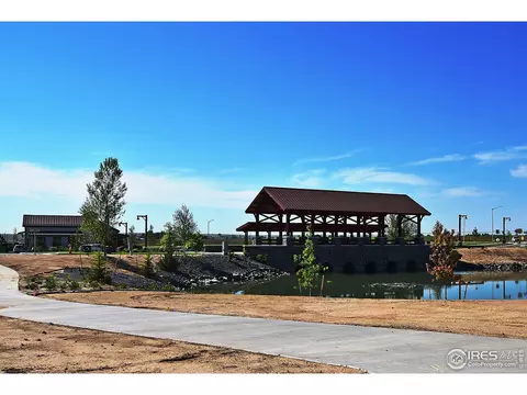 1504 Flowering Tree Ct, Windsor, CO 80550 photo 16