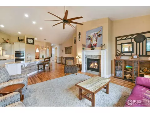 7027 Aladar Dr, Windsor, CO 80550 photo 14