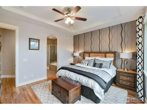 7027 Aladar Dr, Windsor, CO 80550 photo 18