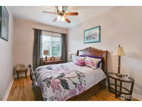 7027 Aladar Dr, Windsor, CO 80550 photo 20