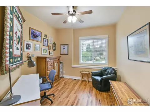 7027 Aladar Dr, Windsor, CO 80550 photo 22