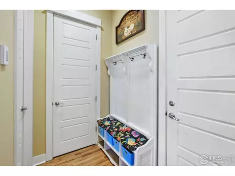 7027 Aladar Dr, Windsor, CO 80550 photo 25