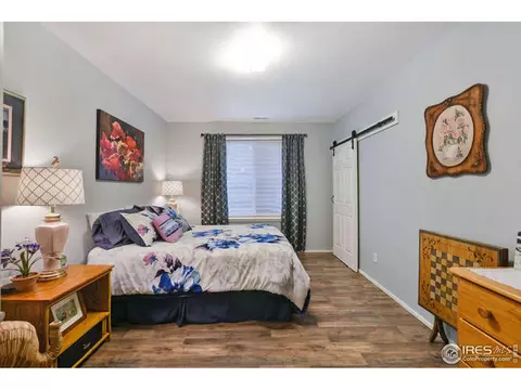 7027 Aladar Dr, Windsor, CO 80550 photo 30