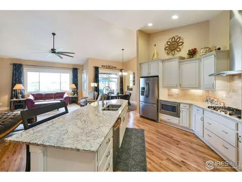7027 Aladar Dr, Windsor, CO 80550 photo 11