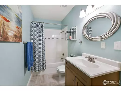 7027 Aladar Dr, Windsor, CO 80550 photo 29